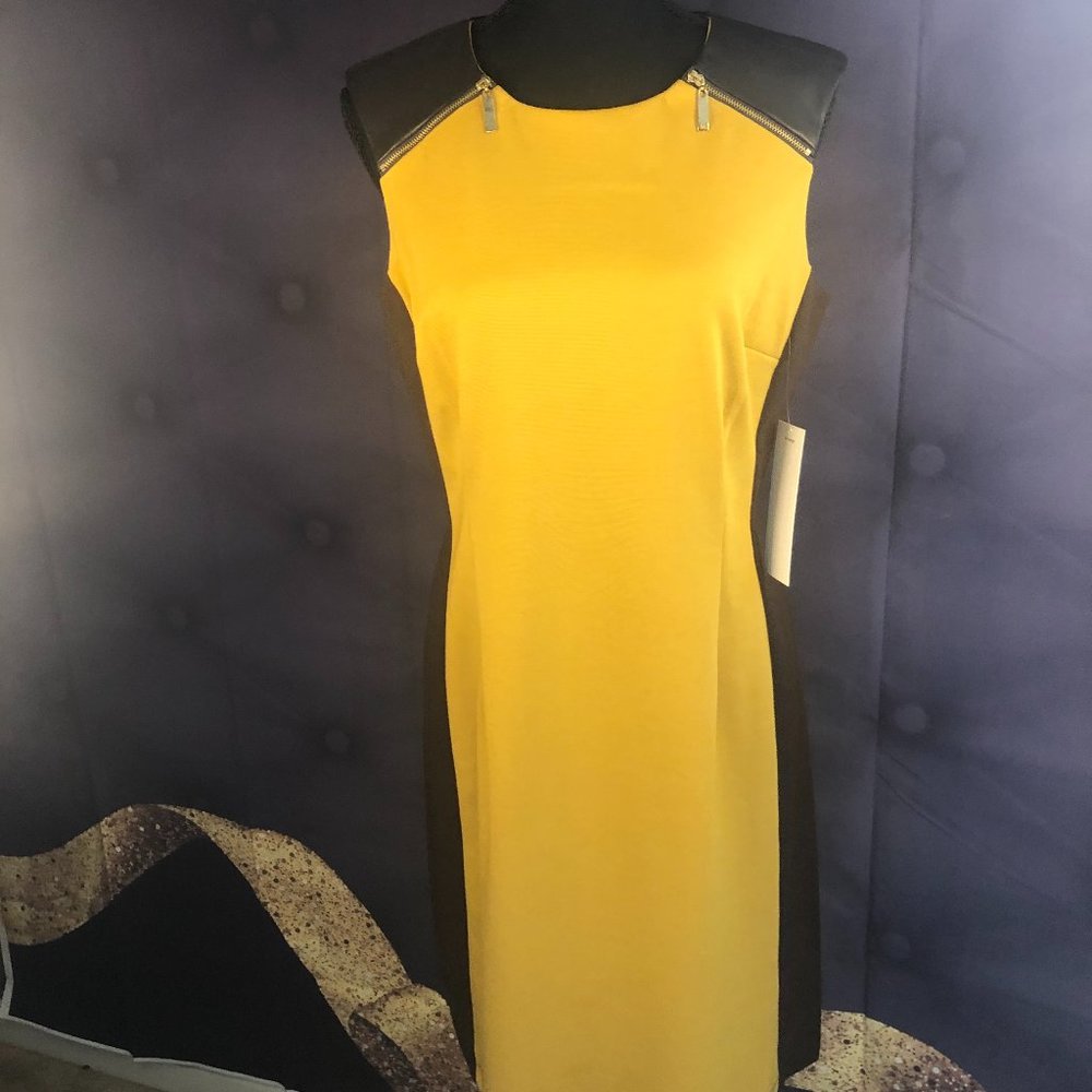 Sleeveless Mustard and Brown Dress
